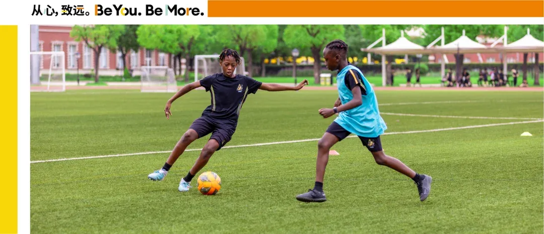 Comprehensive Wellington Academy Programme Starting Soon